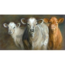 Vivien Walters - Youthful Curiosity        