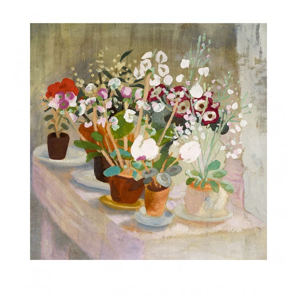 Winifred Nicholson - Cineraria and Cyclamen