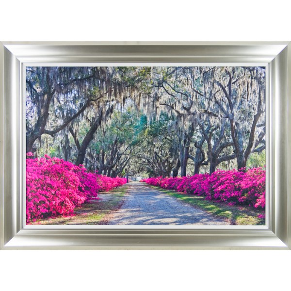 Winthrope Hiers - Azalea Avenue Framed Print 